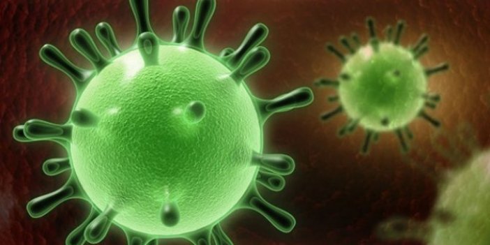 Araştırmacılar korona virüsün yeni suç ortaklarını da keşfetmeyi başardı. Yeni pandemiye  sebep olacak sessiz mutasyonlara dikkat