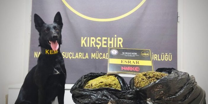 Patates çuvalına gizlenen esrarı narkotik köpeği ‘Çine’ buldu
