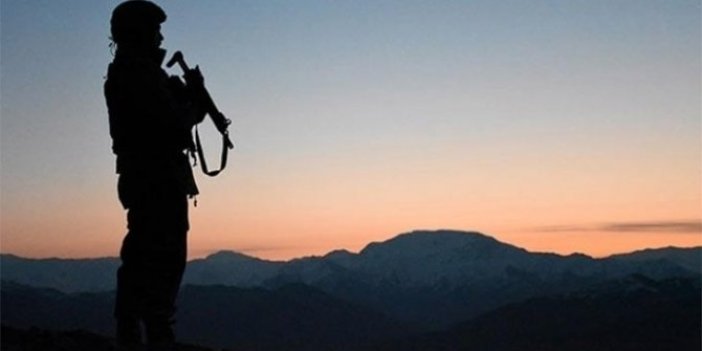 PKK'da çözülme devam ediyor! 2 terörist daha teslim oldu