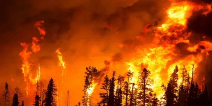 Bilim insanları yangınlardaki büyük ve görünmez tehlikeyi ortaya çıkardı