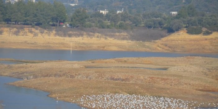 Bodrum’da alarm zilleri çalıyor