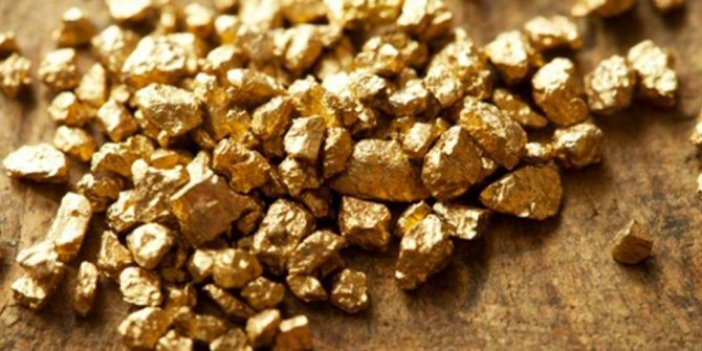 6 milyar dolarlık altın bulunduğunu açıkladı kimse sevinmedi. Gübretaş neyi buldu