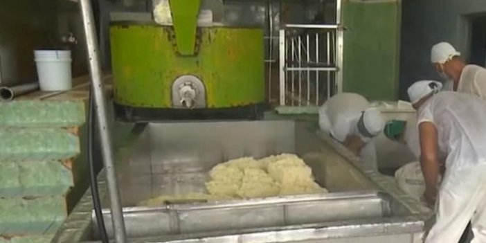 Süt fabrikasından 1300 kilo peynir çalan işçiler gözaltında
