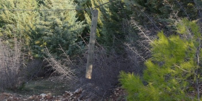 Antalya'da şaşırtan hırsızlık. Ahşap direklerin bir kısmını kesip götürdüler