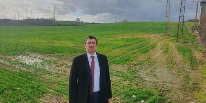 CHP Edirne Milletvekili Doç. Dr. Okan Kaytancıoğlu'ndan buğday sorunu ile ilgili flaş açıklama