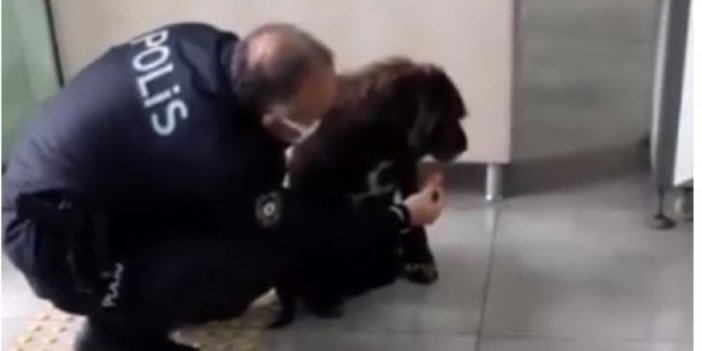 Antalya'da yağmurda sırılsıklam olan köpeğe polis sahip çıktı
