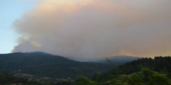 Gürcistan'da esrarengiz orman yangınları