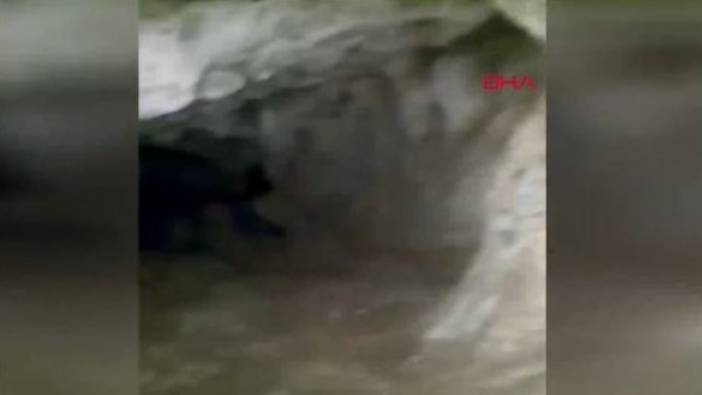Malatya'da mağarada görüntülenince çığlık çığlığa kaçtı. Malatya esrarengiz yaratığın peşine düştü