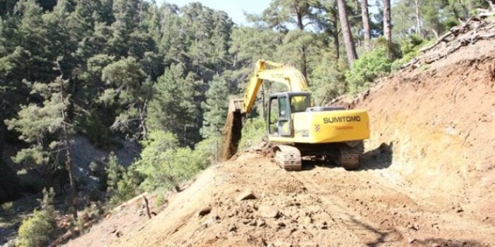 Ormana yol yapımı için ilana çıktılar