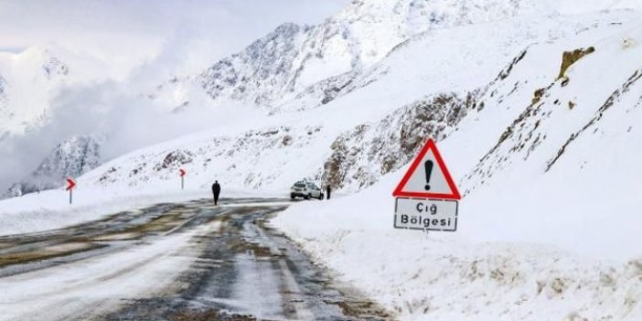 Meteoroloji Doğu Anadolu'daki 4 il için çığ uyarısı yaptı