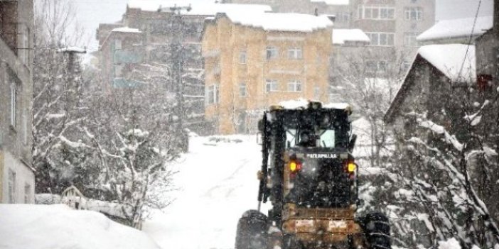 Zonguldak'ta ağaçlar çökünce maddi hasara sebep oldu