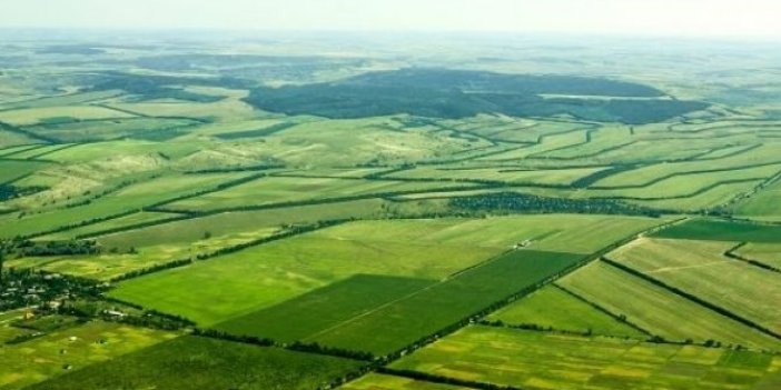 Çiftçinin tarlası icradan satılıyor