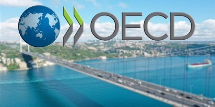 OECD İstanbul merkezi yarın açılıyor