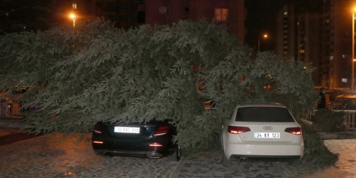 Kayseri'de şiddetli rüzgar ağaçları devirdi