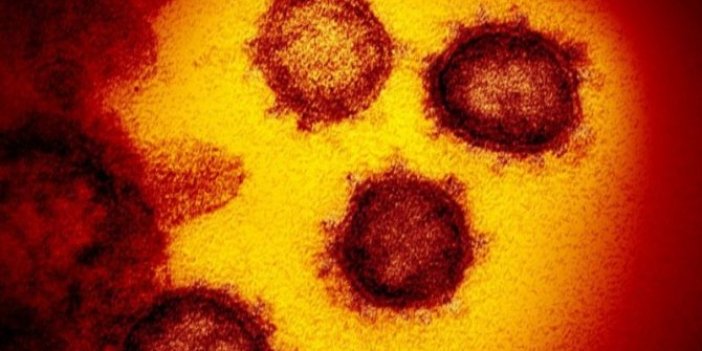 Bilim insanları vahim gelişmeyi açıkladı! Mutasyonlu korona virüs herkesin sarıldığı en büyük önlemi yıkıp geçiyor