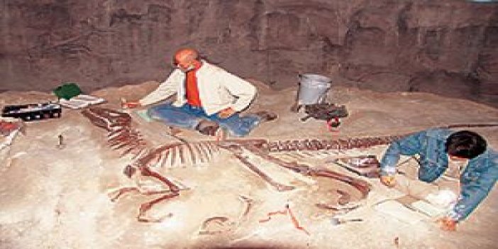 Fransız paleontologların Türkiye’de önemli keşfi