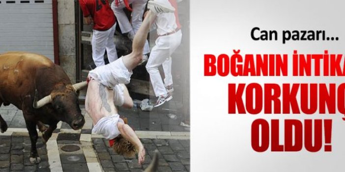 Boğanın intikamı korkunç oldu!