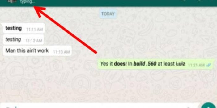 WhatsApp'ta artık yazdığınızı kimse göremeyecek