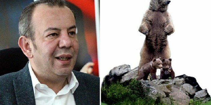 Bozayı heykeli eleştirilerine Bolu Belediye Başkanı Özcan'dan yanıt: 'Ayımıza sahip çıkmak görevimiz'