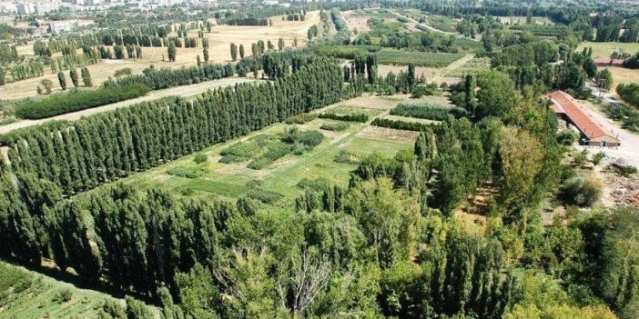 Atatürk Orman Çiftliği’nin 70 dönümü daha ihaleye açıldı. Kendi gitti adı kaldı