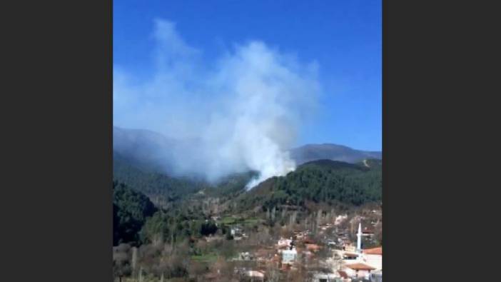 Hatay'da orman yangını (14 Şubat 2021)