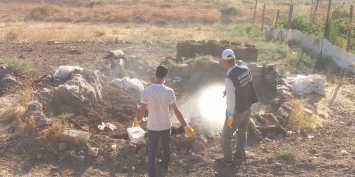 İnsandan insana virüs bulaştıran hayvanı açıkladı. Uzmanından dikkat çeken uyarı