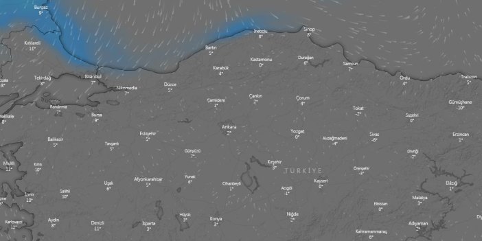 Uydu görüntüleri bas bas bağırıyor. Güneş açtı diye sevinmeyin kar ve soğuk hava geri geliyor tarih belli oldu