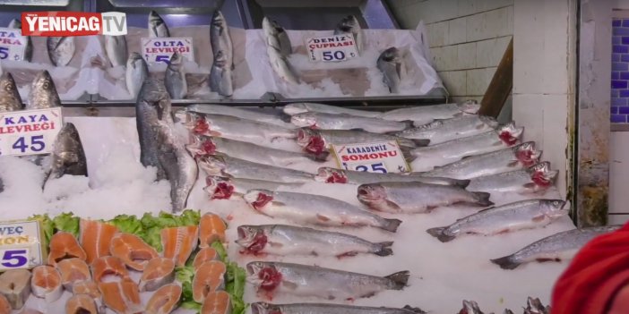 Balık piyasasında neler oluyor? Filozof balıkçı fiyatların neden yüksek olduğunu açıkladı!