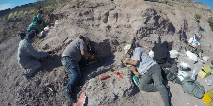 Arjantinli arkeologlar kazma kaburgaya saplanınca çalışmayı bıraktı. Günlerdir toprağı kazıyorlardı