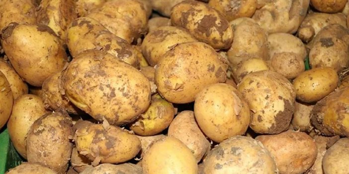 Rusya, patates ithalatını askıya aldı