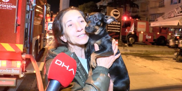 Üsküdar'da kahraman köpek sahibinin hayatını kurtardı. Uyandırmak için her şeyi yaptı