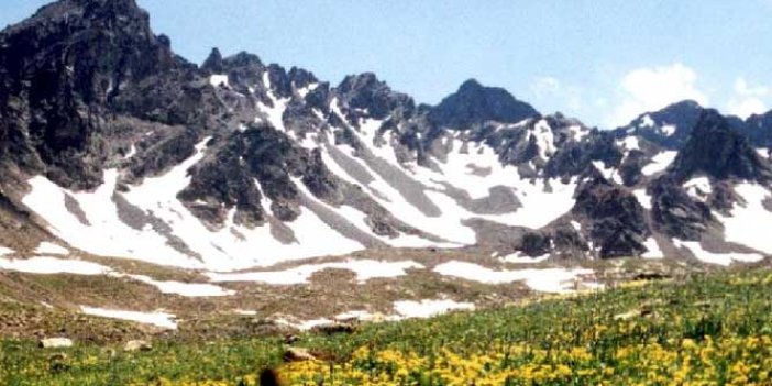 Fidan, gübre ve torf satın alınacaktır