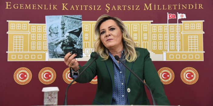 İYİ Partili Cesur'dan Süleyman Demirel tepkisi