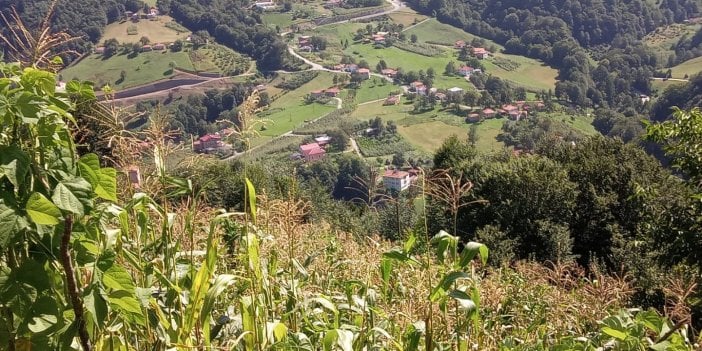 Eşini domuz sanıp öldüren koca: Islık çaldım tepki gelmeyince ateş ettim