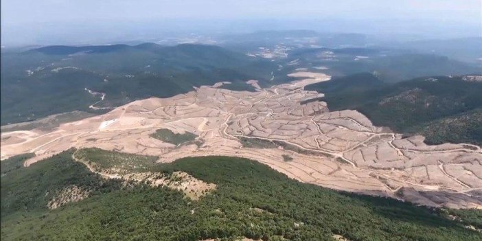 Kanadalı Alamos Gold şirketinin Türkiye’deki iştiraki Doğu Biga Madencilik Genel Müdürü Ahmet Şentürk'ün söyledikleri şok etti