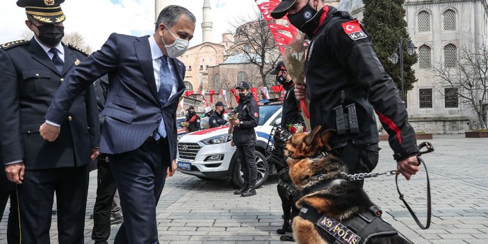 İstanbul Valisi Ali Yerlikaya’ya K-9 polis köpeği saldırdı. Kameralar anbean kaydetti