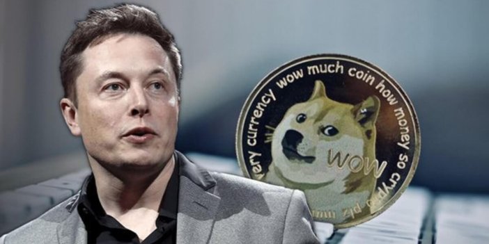 Elon Doge’yi yine uçurdu. Bir yıllık kazanç dudak uçuklattı