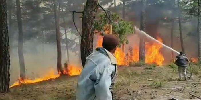 Denizli'de orman yangını. 4 hektar alan yandı