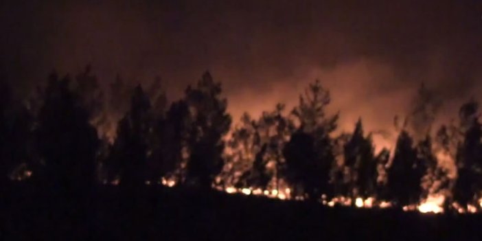 Muğla'da iki farklı ormanlık alanda yangın
