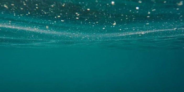 2020 Yılı 'Sessiz Okyanus Yılı' ilan edildi