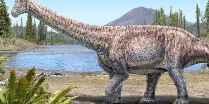Yeni dev dinozor türü keşfedildi