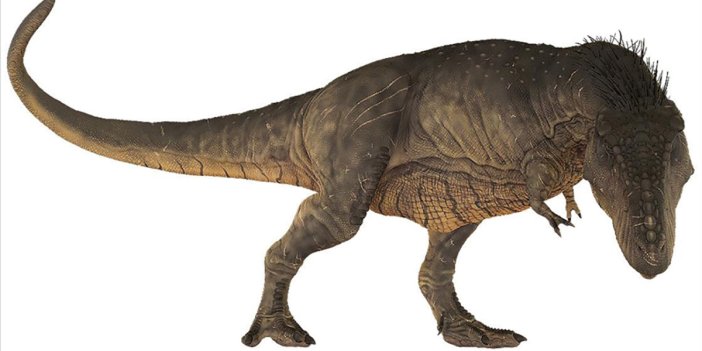 T-Rex dinozorlar ile ilgili yeni keşif