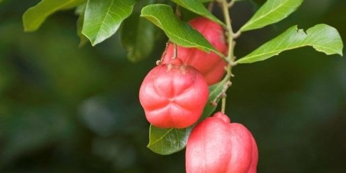 Hastalıklara davetiye çıkarıyor ölüme bile neden oluyor. Uzmanlar uyardı sakın tüketmeyin