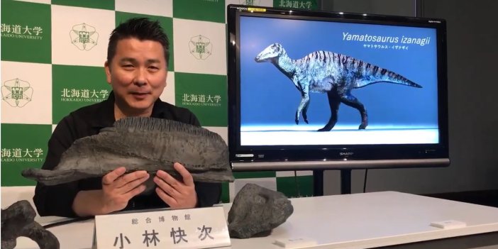 Japon bilim insanları 72 milyon yıl öncesine ait yeni türü açıkladı. Analizi tam 17 sene sürdü