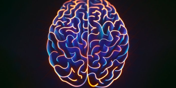 İnsan beyni gibi öğrenen cihaz geliştirildi