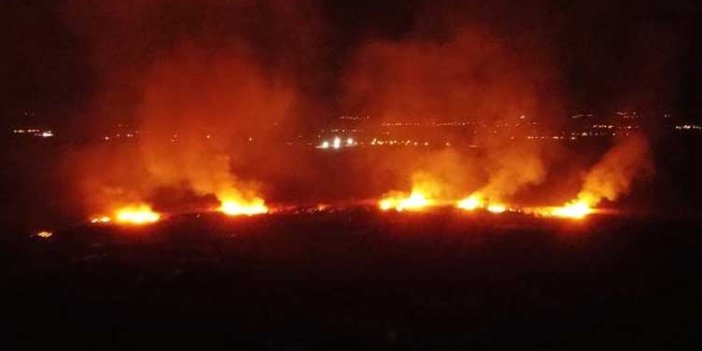 Erzincan'da koruma altındaki alanda yangın