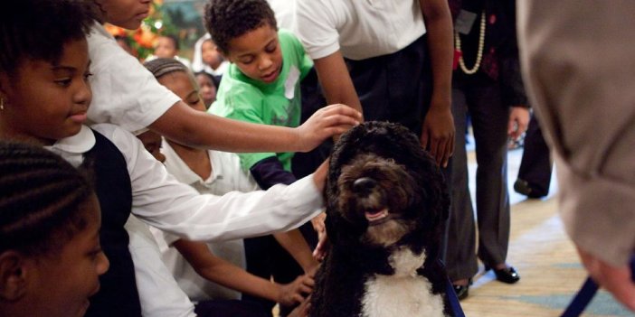 Barack Obama'nın köpeği Bo öldü