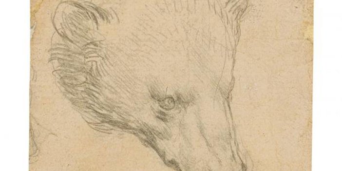 Da Vinci'nin Ayı Kafası çizimine rekor fiyat tahmini
