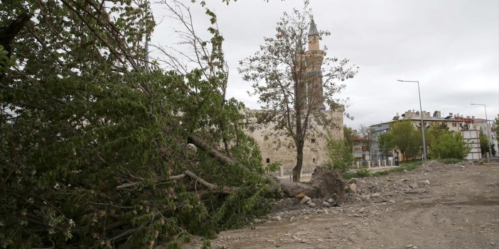 Sivas'ta şiddetli fırtına ağaçları yıktı geçti