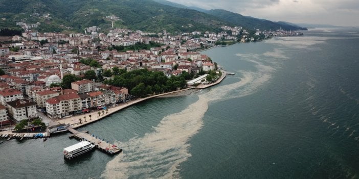 İzmit Körfezi'nden girdi Marmara'ya yayılıyor. Kabus geri döndü